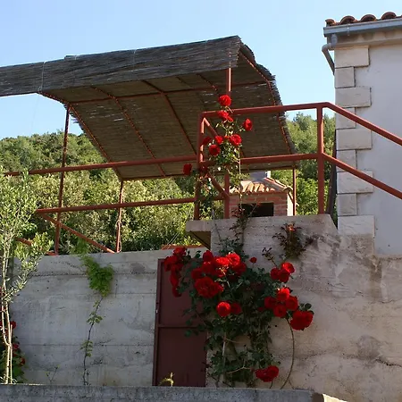 Uvala Karbuni 4465a * بريغراديكا